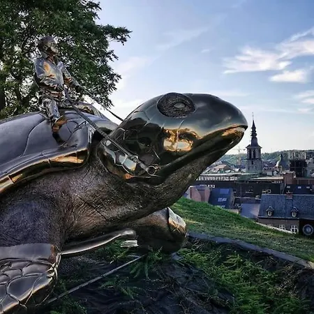 De Charme Bord De Meuse * نامور